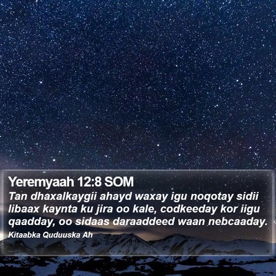 Yeremyaah 12:8 SOM Bible Verse Image