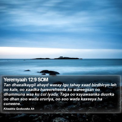 Yeremyaah 12:9 SOM Bible Verse Image
