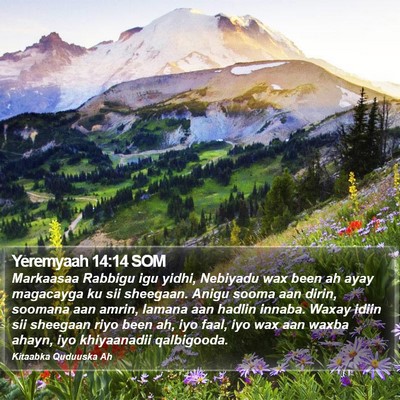 Yeremyaah 14:14 SOM Bible Verse Image