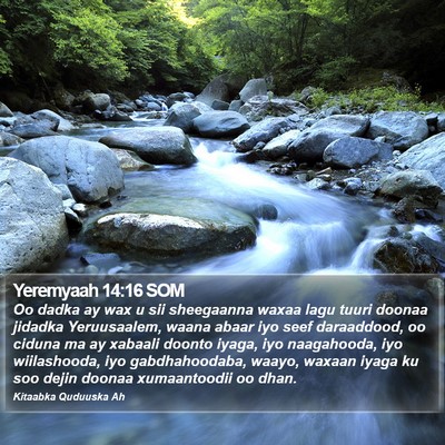 Yeremyaah 14:16 SOM Bible Verse Image
