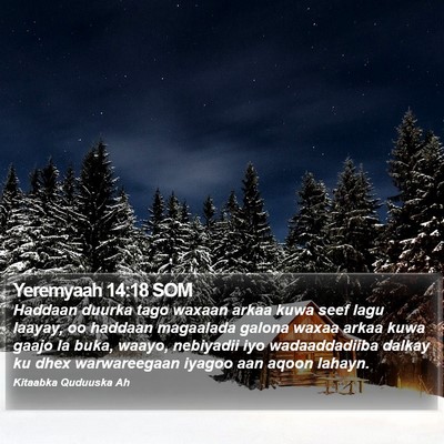 Yeremyaah 14:18 SOM Bible Verse Image
