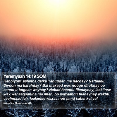 Yeremyaah 14:19 SOM Bible Verse Image