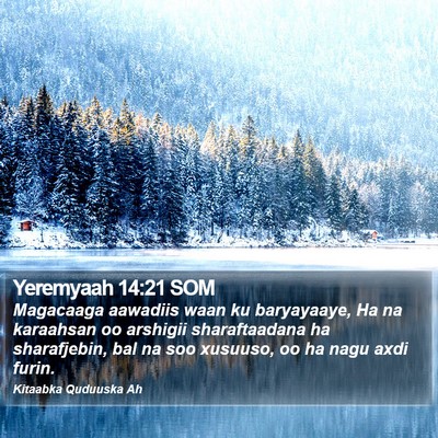 Yeremyaah 14:21 SOM Bible Verse Image