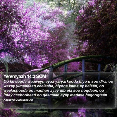 Yeremyaah 14:3 SOM Bible Verse Image