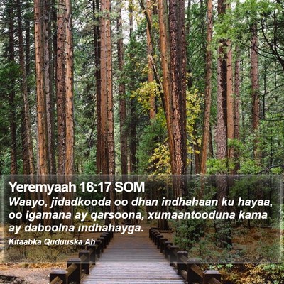 Yeremyaah 16:17 SOM Bible Verse Image