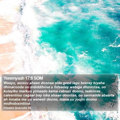 Yeremyaah 17:8 SOM Bible Verse Image