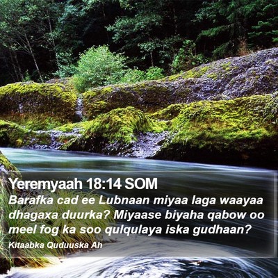 Yeremyaah 18:14 SOM Bible Verse Image