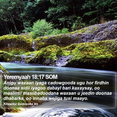 Yeremyaah 18:17 SOM Bible Verse Image