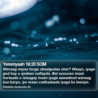 Yeremyaah 18:20 SOM Bible Verse Image