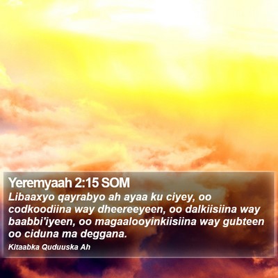 Yeremyaah 2:15 SOM Bible Verse Image
