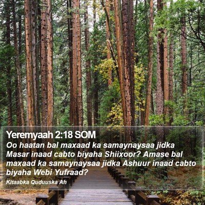 Yeremyaah 2:18 SOM Bible Verse Image