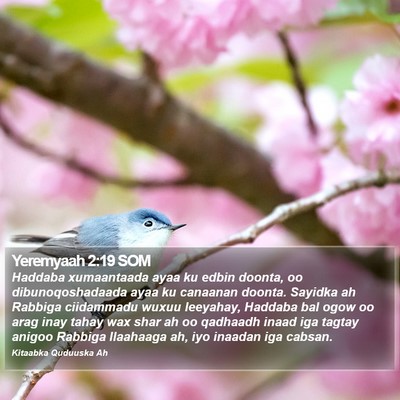 Yeremyaah 2:19 SOM Bible Verse Image