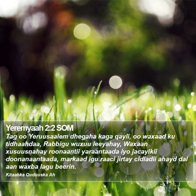 Yeremyaah 2:2 SOM Bible Verse Image