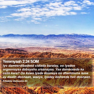 Yeremyaah 2:24 SOM Bible Verse Image