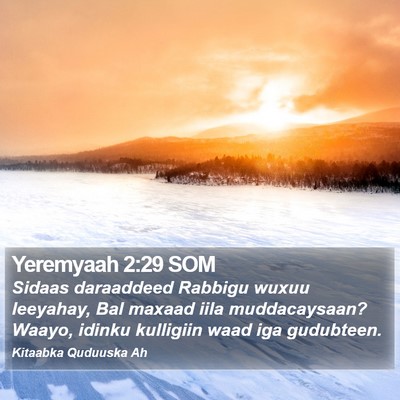 Yeremyaah 2:29 SOM Bible Verse Image