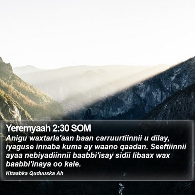 Yeremyaah 2:30 SOM Bible Verse Image