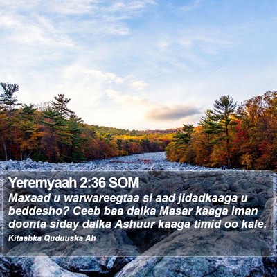 Yeremyaah 2:36 SOM Bible Verse Image