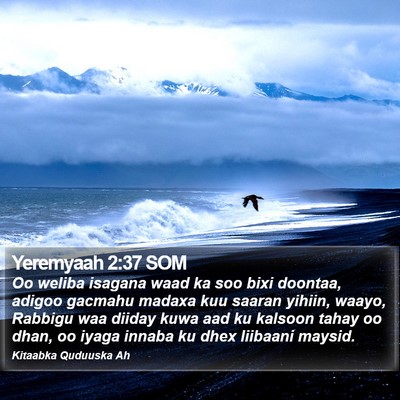 Yeremyaah 2:37 SOM Bible Verse Image