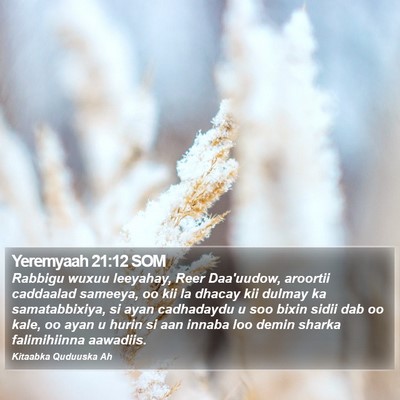 Yeremyaah 21:12 SOM Bible Verse Image