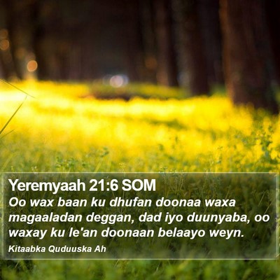 Yeremyaah 21:6 SOM Bible Verse Image