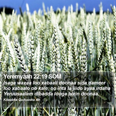 Yeremyaah 22:19 SOM Bible Verse Image