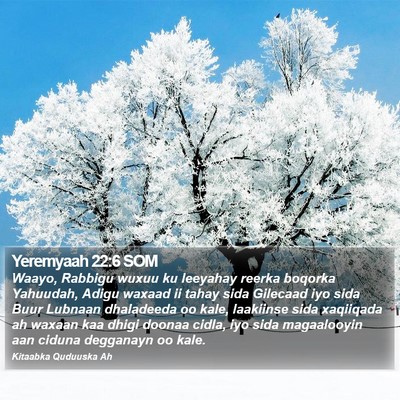Yeremyaah 22:6 SOM Bible Verse Image