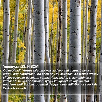 Yeremyaah 23:14 SOM Bible Verse Image