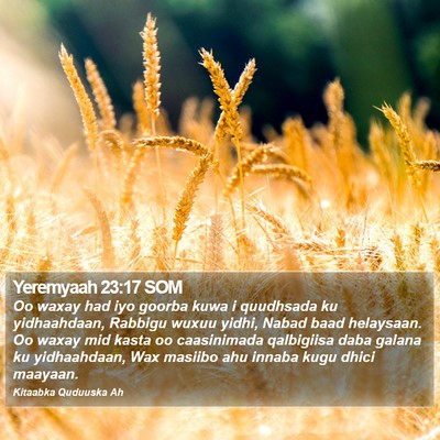 Yeremyaah 23:17 SOM Bible Verse Image