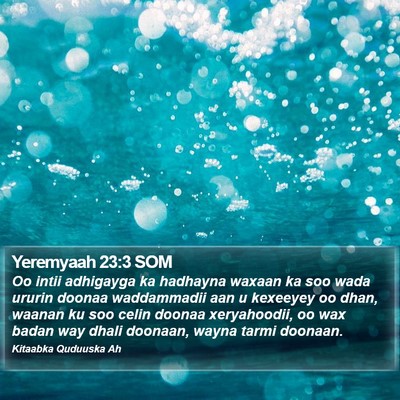 Yeremyaah 23:3 SOM Bible Verse Image