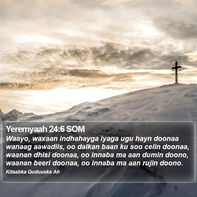Yeremyaah 24:6 SOM Bible Verse Image