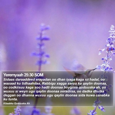 Yeremyaah 25:30 SOM Bible Verse Image