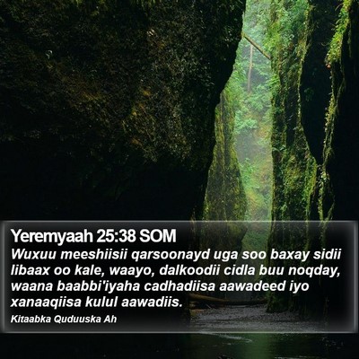 Yeremyaah 25:38 SOM Bible Verse Image
