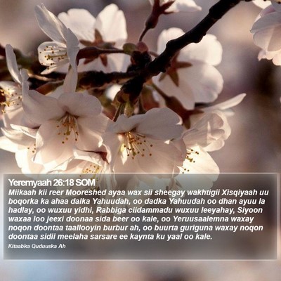 Yeremyaah 26:18 SOM Bible Verse Image