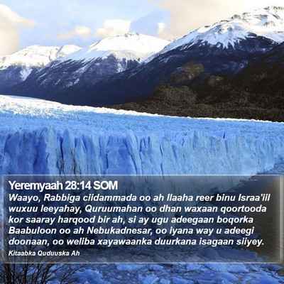Yeremyaah 28:14 SOM Bible Verse Image