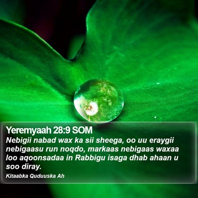 Yeremyaah 28:9 SOM Bible Verse Image