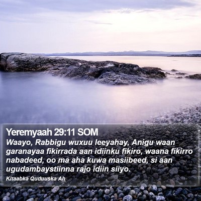 Yeremyaah 29:11 SOM Bible Verse Image