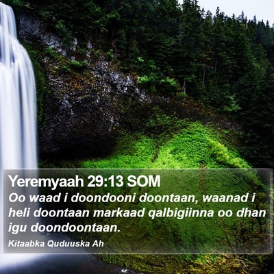 Yeremyaah 29:13 SOM Bible Verse Image