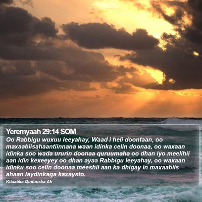 Yeremyaah 29:14 SOM Bible Verse Image