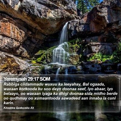Yeremyaah 29:17 SOM Bible Verse Image