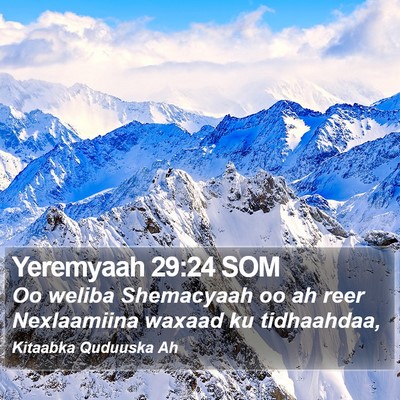 Yeremyaah 29:24 SOM Bible Verse Image