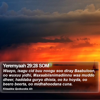 Yeremyaah 29:28 SOM Bible Verse Image