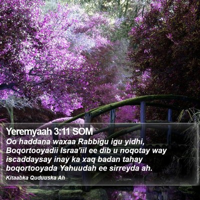 Yeremyaah 3:11 SOM Bible Verse Image