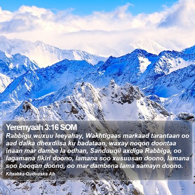 Yeremyaah 3:16 SOM Bible Verse Image