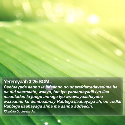 Yeremyaah 3:25 SOM Bible Verse Image