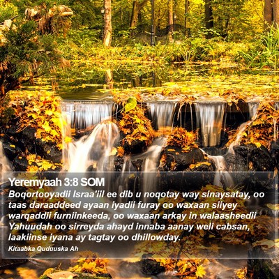 Yeremyaah 3:8 SOM Bible Verse Image