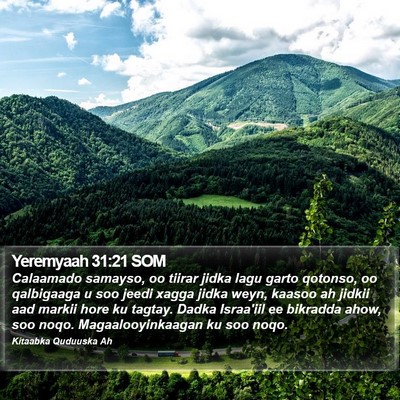 Yeremyaah 31:21 SOM Bible Verse Image