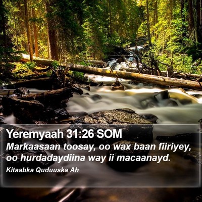 Yeremyaah 31:26 SOM Bible Verse Image