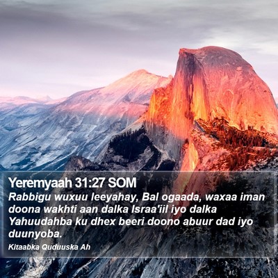 Yeremyaah 31:27 SOM Bible Verse Image