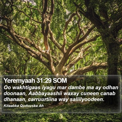 Yeremyaah 31:29 SOM Bible Verse Image