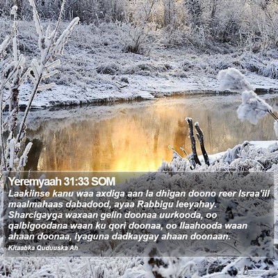 Yeremyaah 31:33 SOM Bible Verse Image